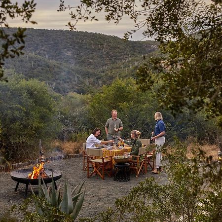 Kwandwe Private Game Reserve - Melton Manor Грейамстаун Экстерьер фото